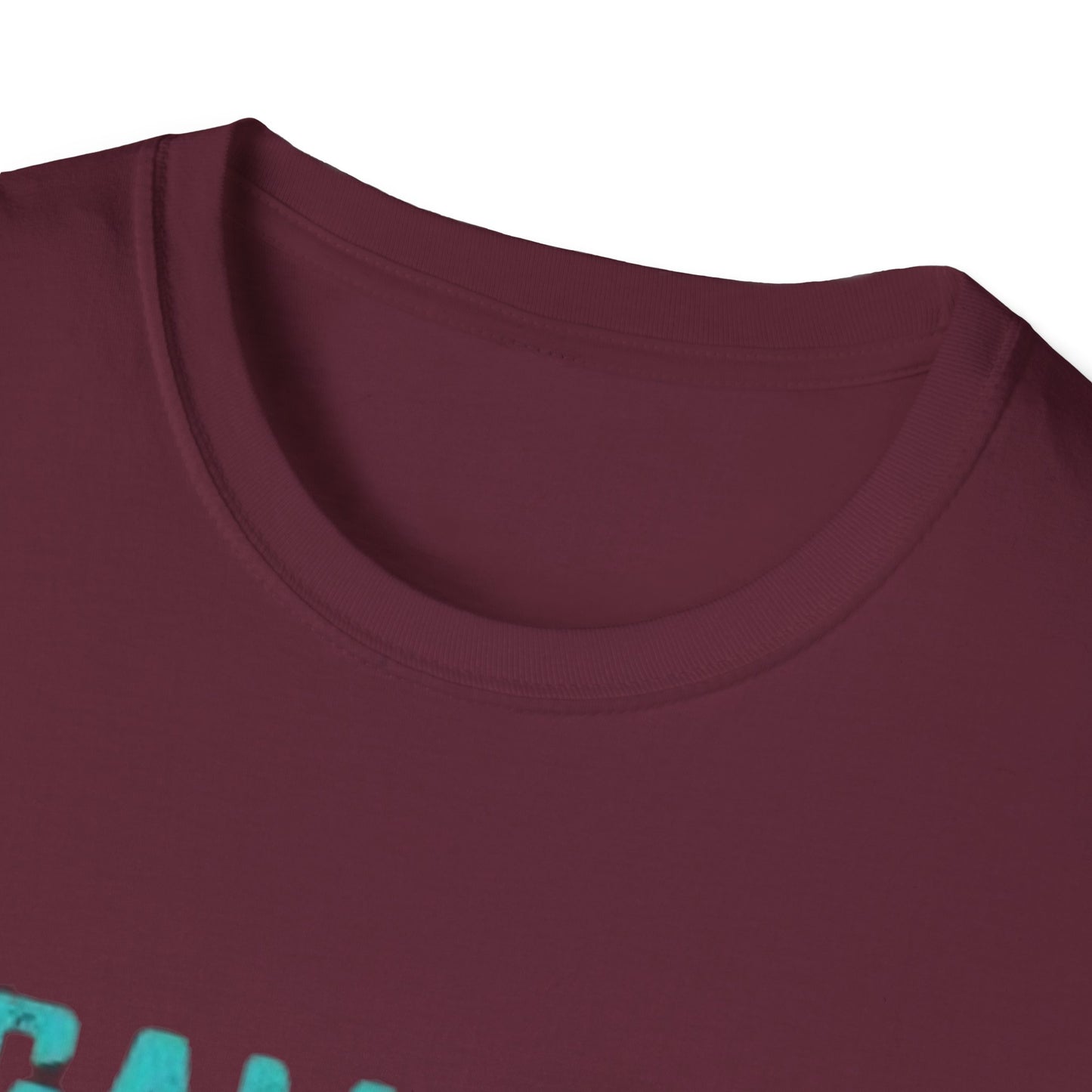 Unisex Organic Cotton Softstyle T-Shirt - Eco-Friendly, Comfortable, Stylish Casual Tee hanging on a stylish hanger against a minimalist background.