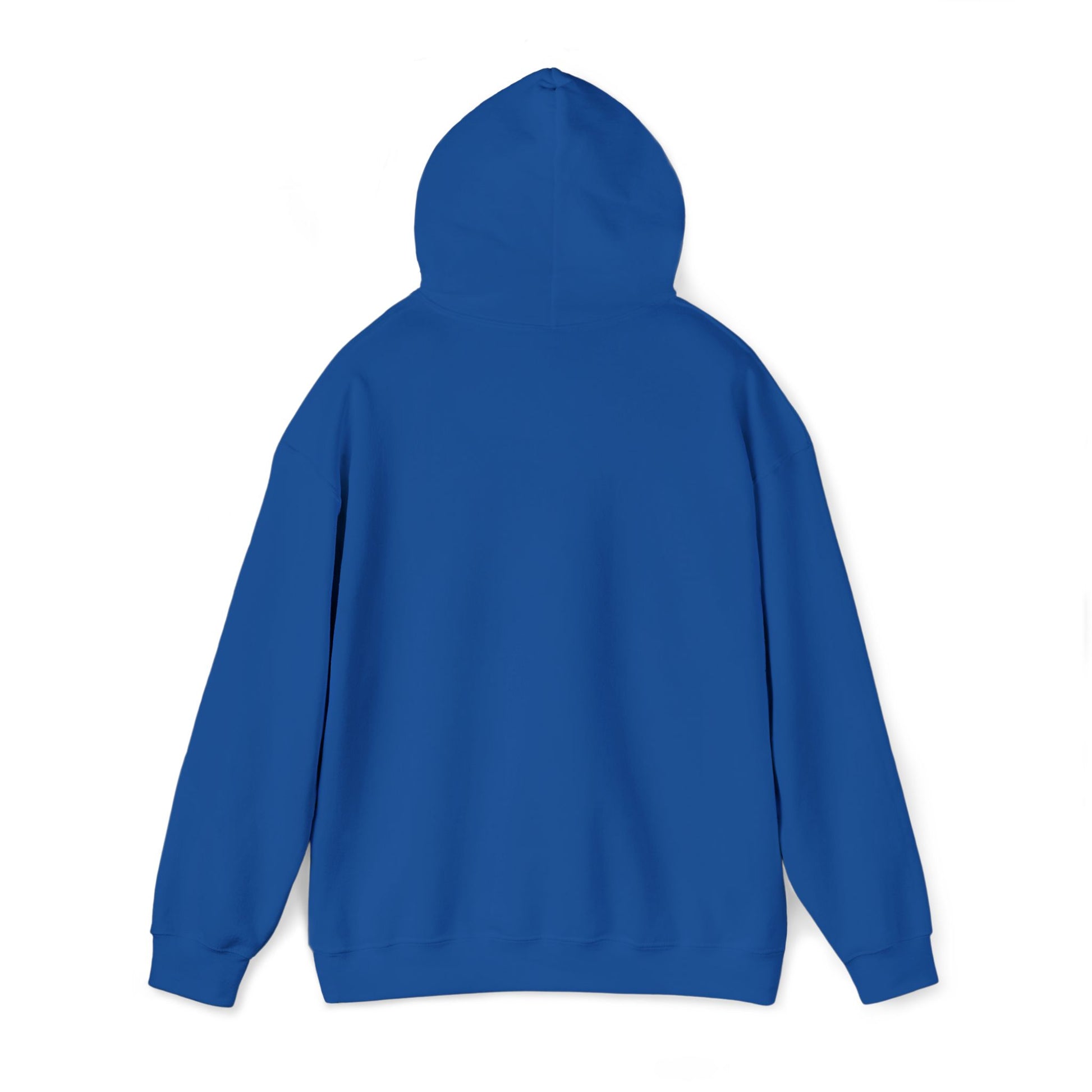 Detail of the Chase Your Dreams Vintage Aesthetic Oversized Hoodie, highlighting its comfortable oversized fit and eco-friendly organic fabric.